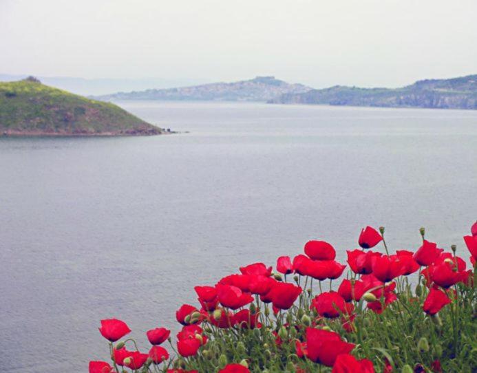 Birds Bay Resort Петра Экстерьер фото